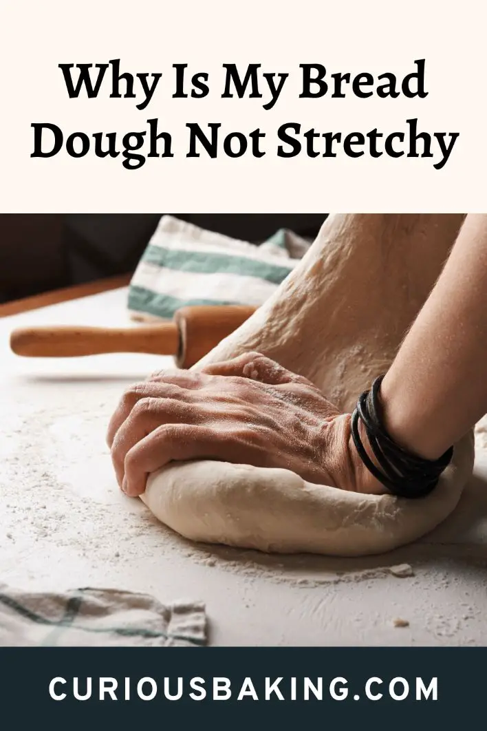 Why Is My Bread Dough Not Stretchy - 4 Reasons and Their Fix